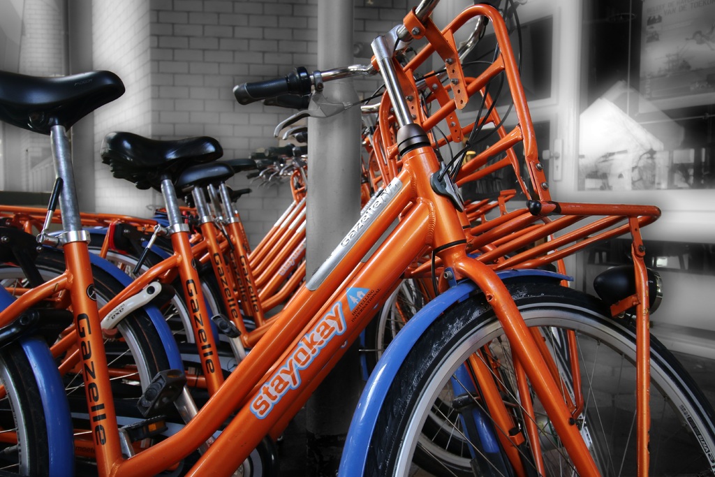 Bicycles on rent