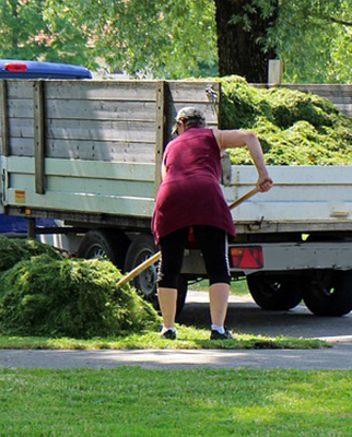 Garden Cleaning