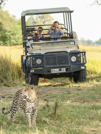 Safari Packages