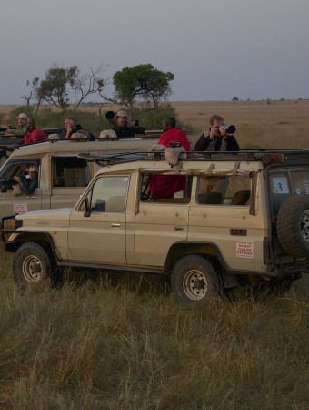 Safari Vehicles