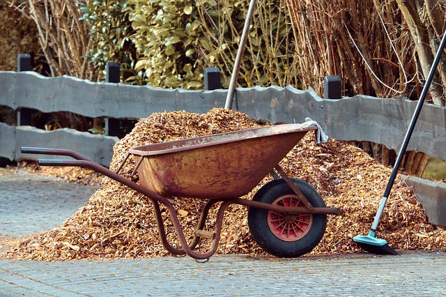 Hedge Cutting