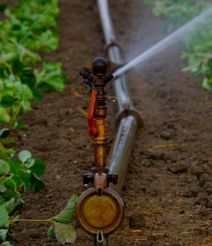 Design And Maintain Irrigation Systems