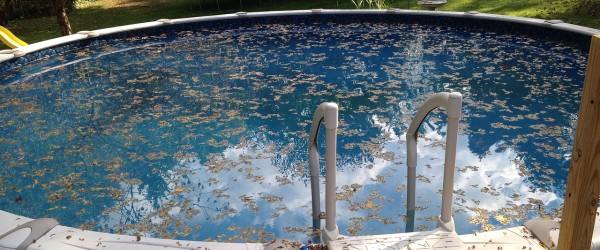 Water Quality Services