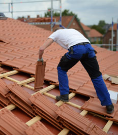 Roof Coatings