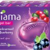 FIAMA Gel Bar Blackcurrant and Bearberry - Image 4