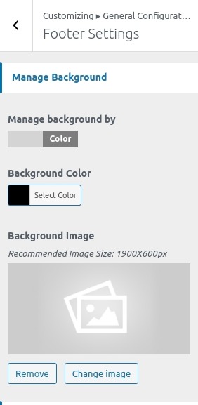 set Footer section