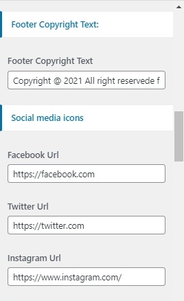 set footer Section