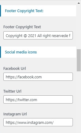 set footer Section