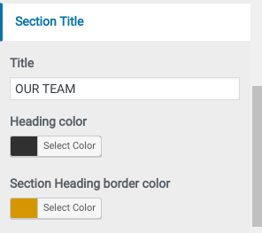 set team custm Section