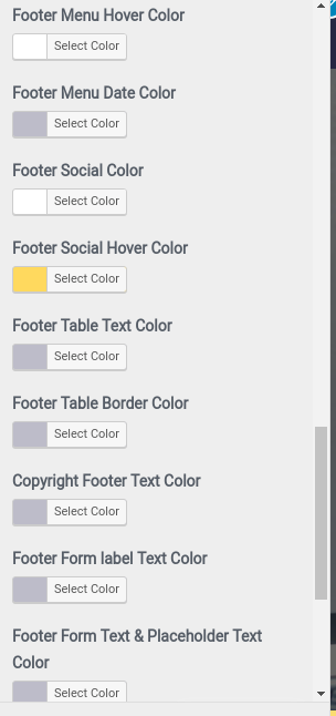 set Footer section