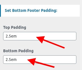 set Footer section