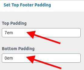 set Footer section