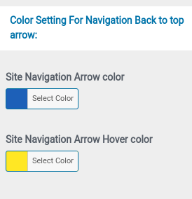 set Footer section