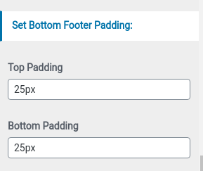 set footer Section