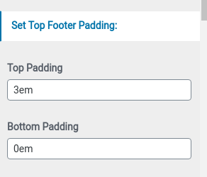 set footer Section