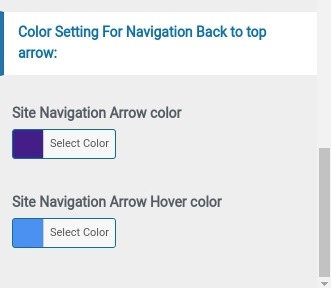 set Footer section