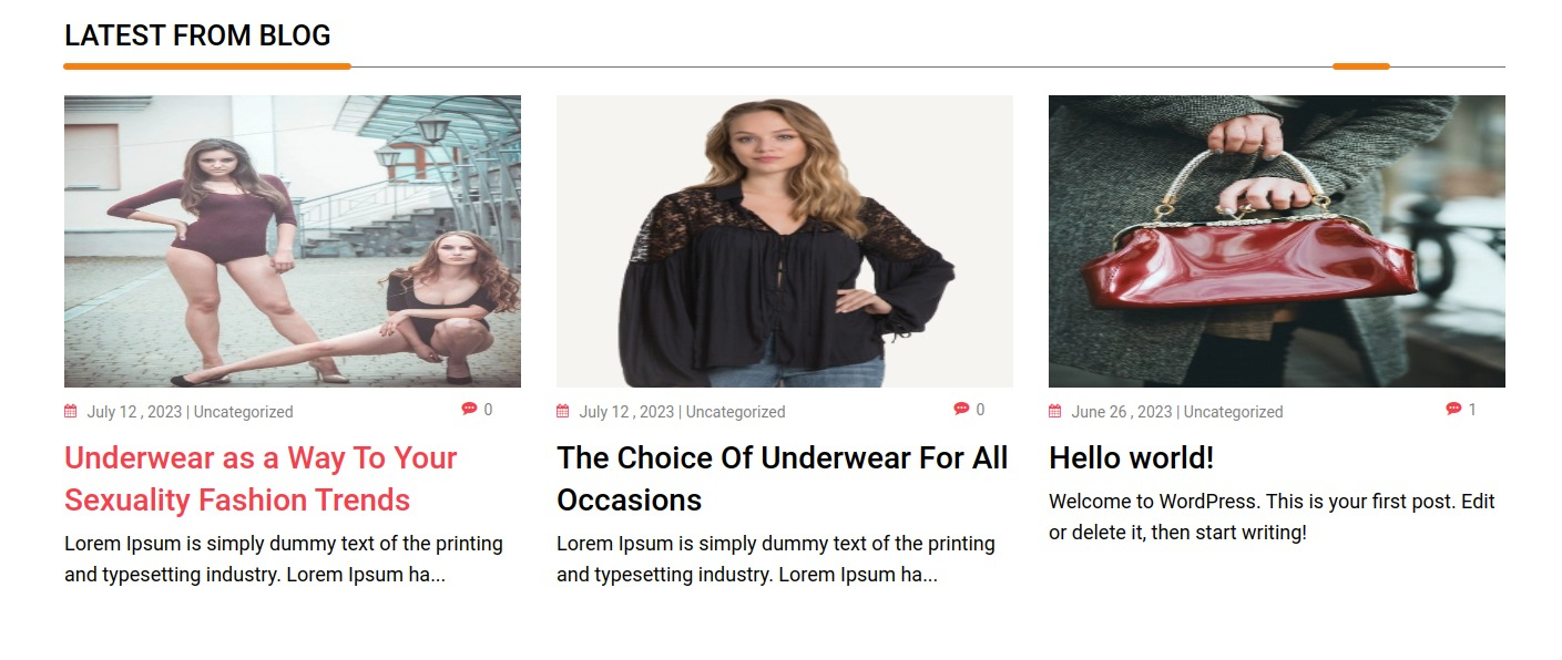 set blog section