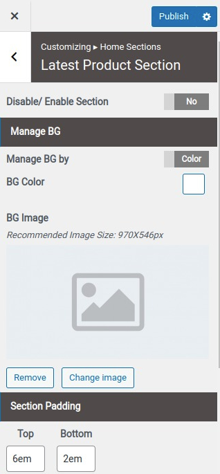 set Latest Product Section