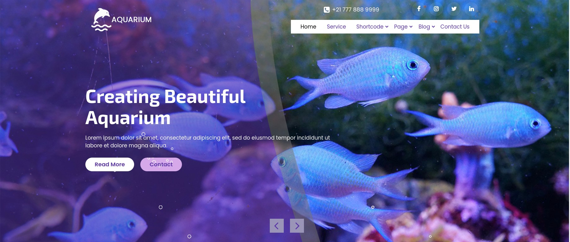 Fish-Aquarium-Shop pro wordpress theme