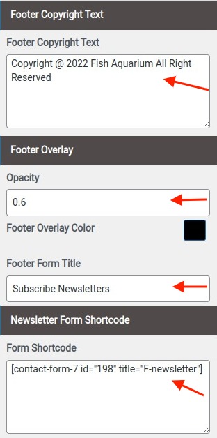 set Footer section