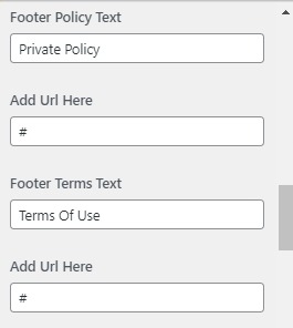 set footer Section