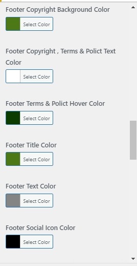 set Footer section