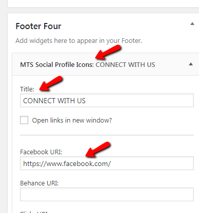 set Footer section