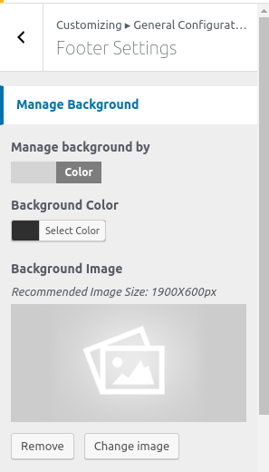 set Footer section