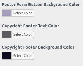 set Footer section