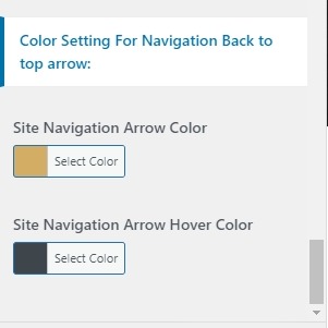 set Footer section