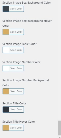 set  process section