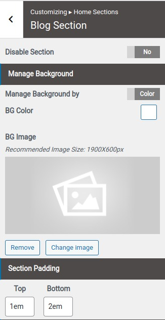 set Blog section