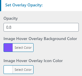 set contact section