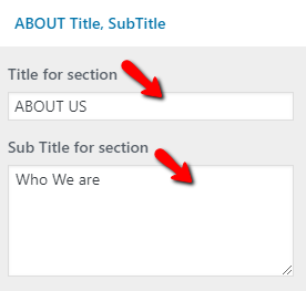 set About Us section