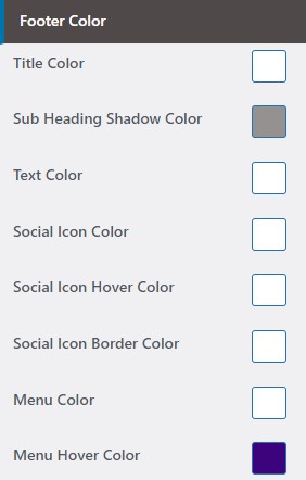 set Footer section