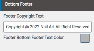 set Footer section