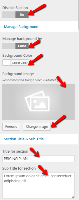 set Pricing section