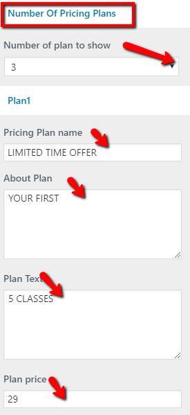 set Pricing section