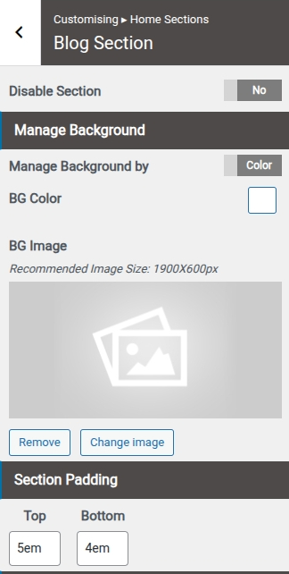 set Blog section