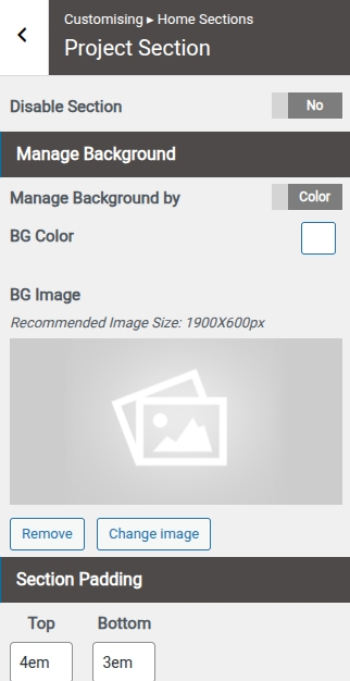 set Project Section