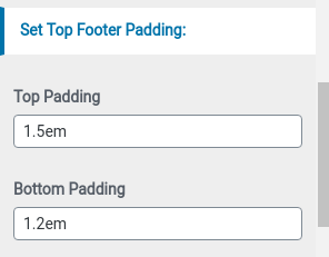 set footer Section