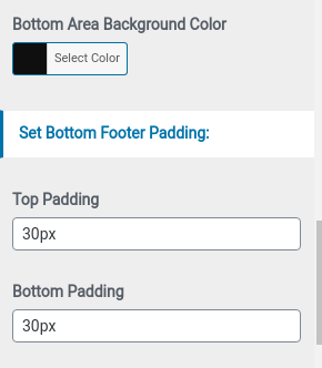 set footer Section