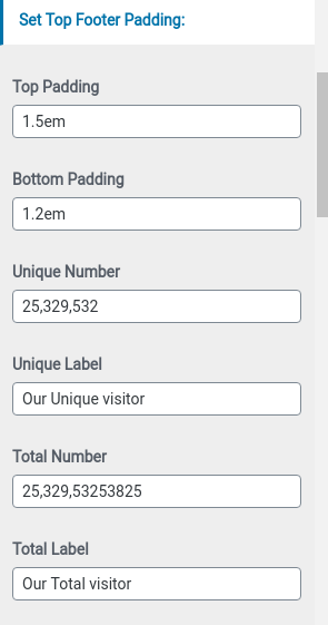 set footer Section