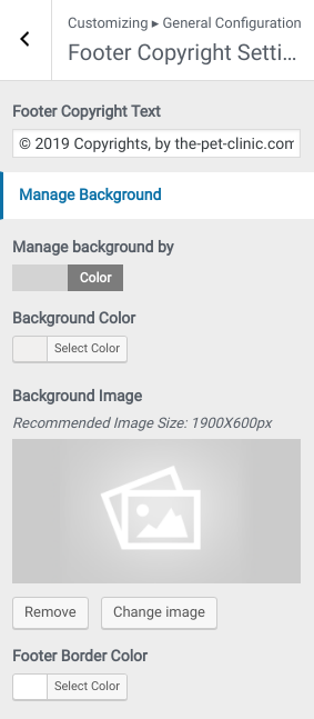 set Footer section