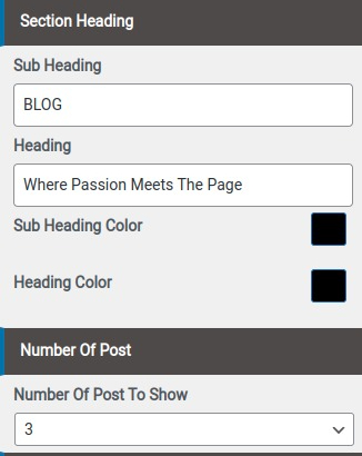 set Blog section