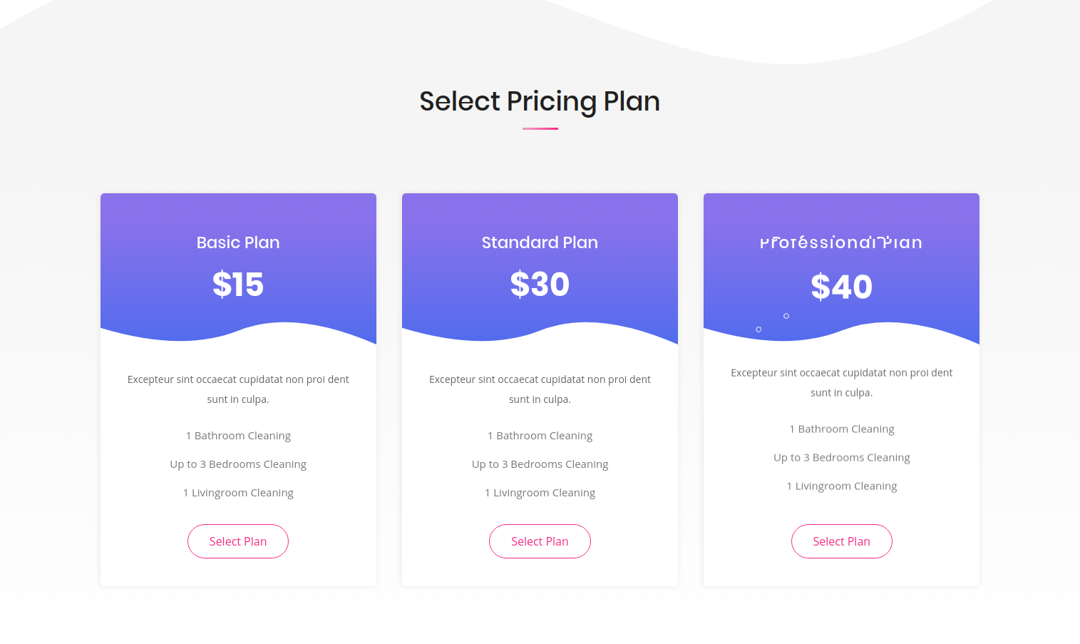 set pricing section