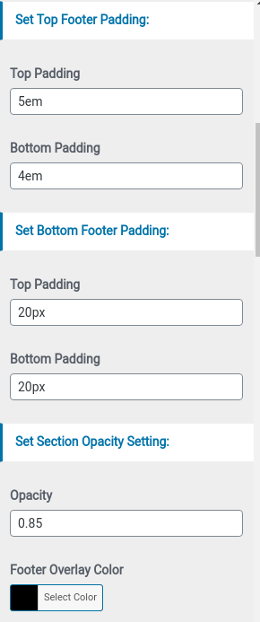 set footer Section