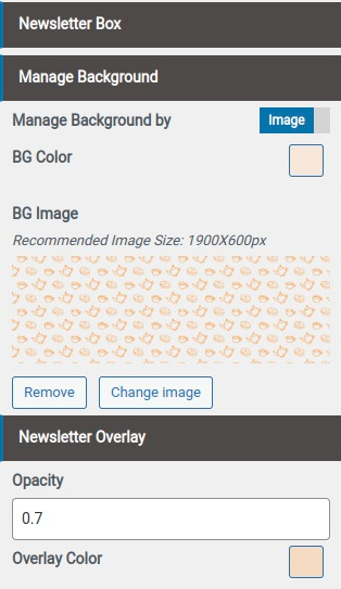 set Footer section