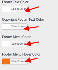 set Footer section