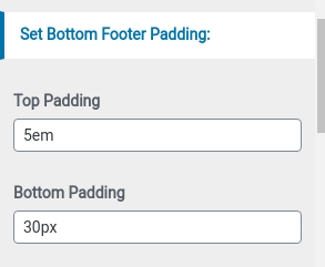 set footer Section